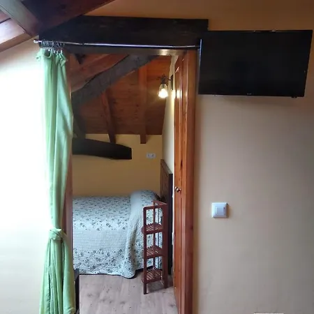Campo (adults Only)