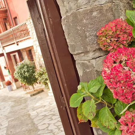 Campo (adults Only) Suances