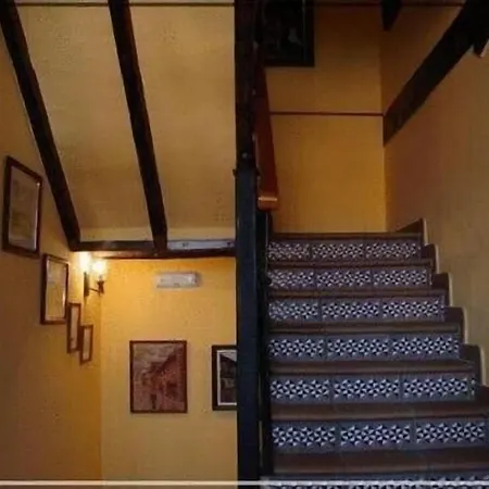 Campo (adults Only) סואנסס