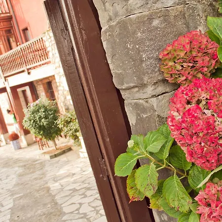 Campo (adults Only) Vendégház