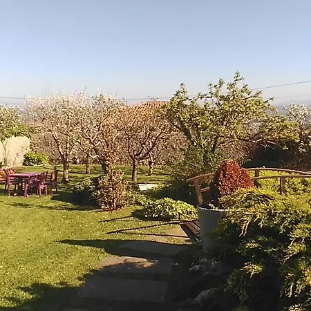 Campo (adults Only) 3*