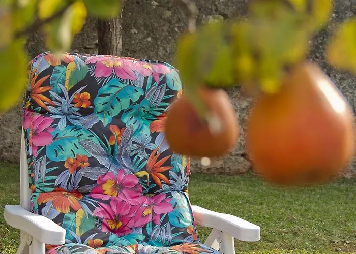 Campo (adults Only) Suances