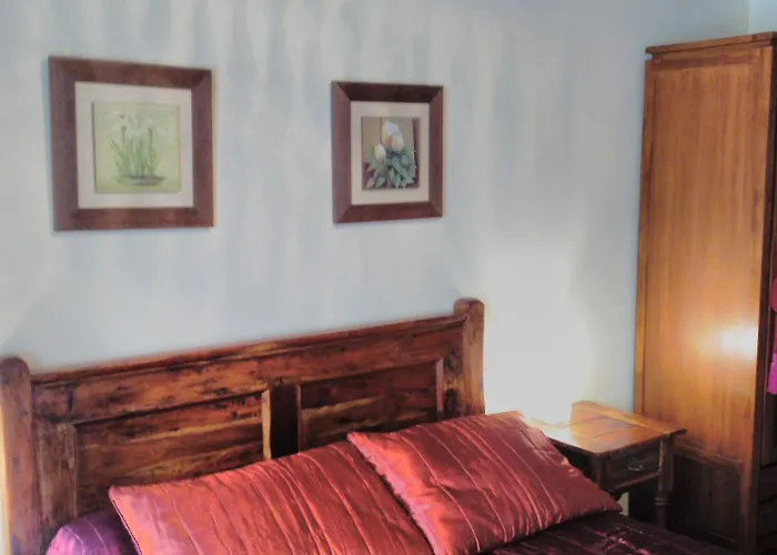 Guest house Campo (adults Only) 3*