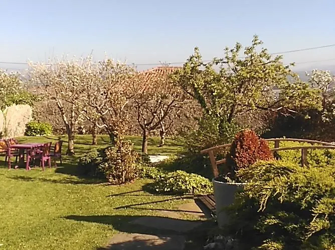 Campo (adults Only) 3*